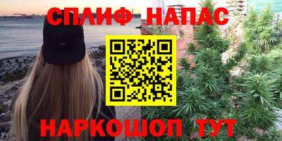 прущие грибы Краснокаменск