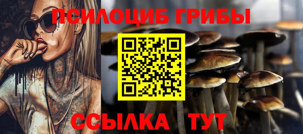 Галлюциногенные грибы Magic Shrooms  Вход с VPN  Волжский 
