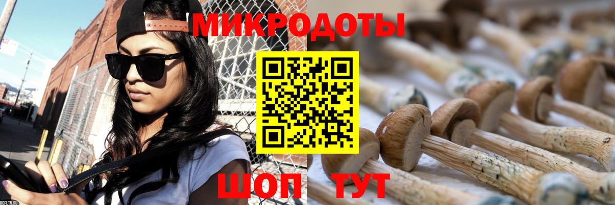 Псилоцибиновые грибы ЛСД Волжский